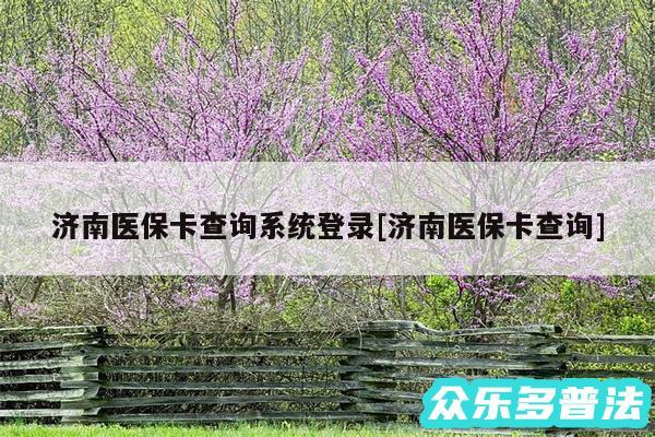 济南医保卡查询系统登录及济南医保卡查询