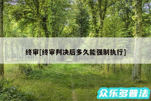 终审及终审判决后多久能强制执行