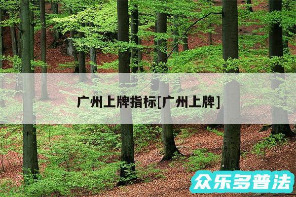 广州上牌指标及广州上牌