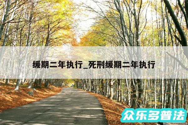缓期二年执行_死刑缓期二年执行