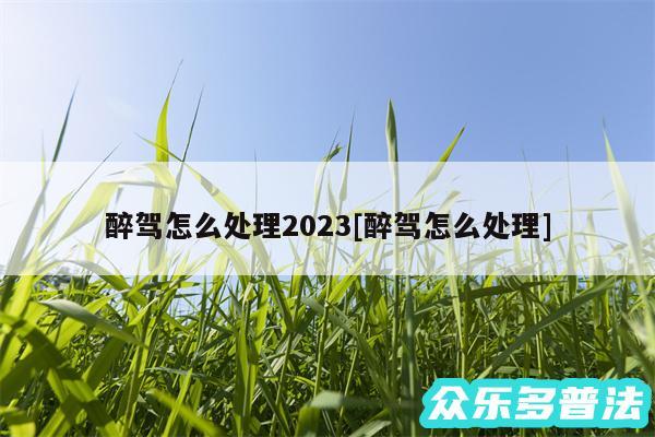 醉驾怎么处理2024及醉驾怎么处理