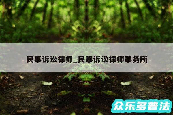 民事诉讼律师_民事诉讼律师事务所