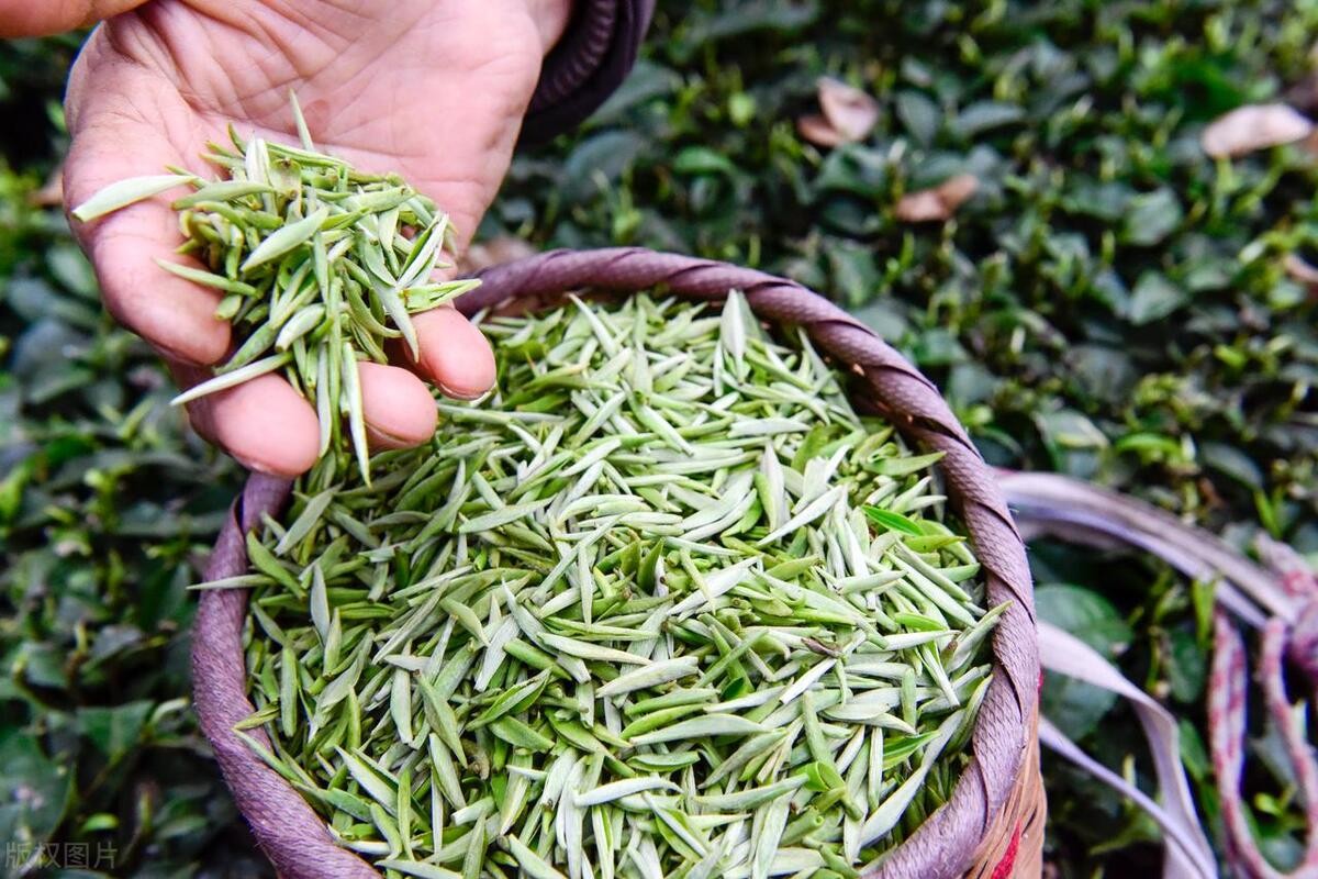 外资爆买茅台？贵州真有货！连特产伴手礼瑞银鸟差距都那么大