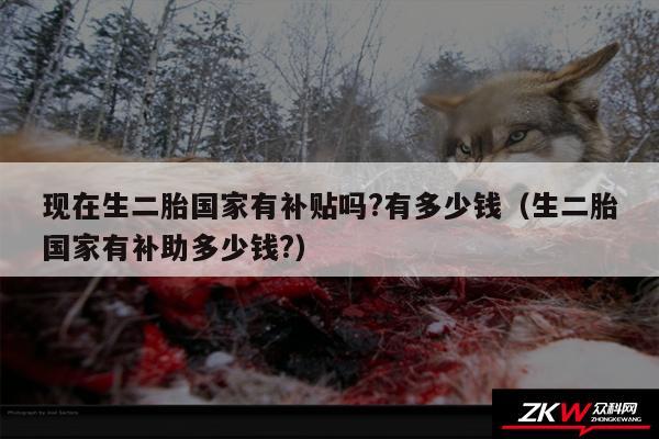 现在生二胎国家有补贴吗?有多少钱以及生二胎国家有补助多少钱?
