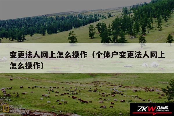 变更法人网上怎么操作以及个体户变更法人网上怎么操作