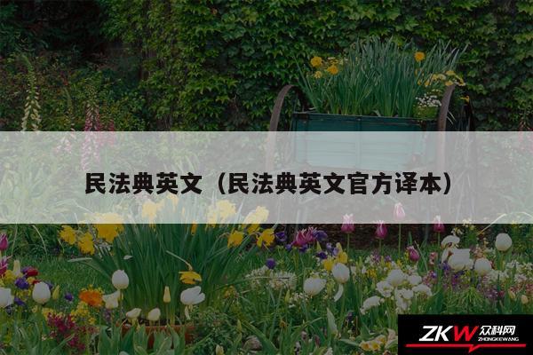 民法典英文以及民法典英文官方译本