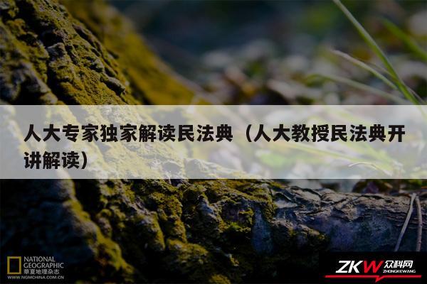 人大专家独家解读民法典以及人大教授民法典开讲解读