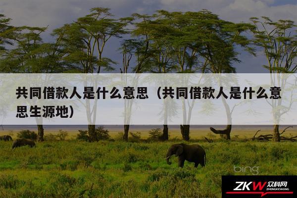 共同借款人是什么意思以及共同借款人是什么意思生源地