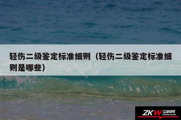 轻伤二级鉴定标准细则以及轻伤二级鉴定标准细则是哪些