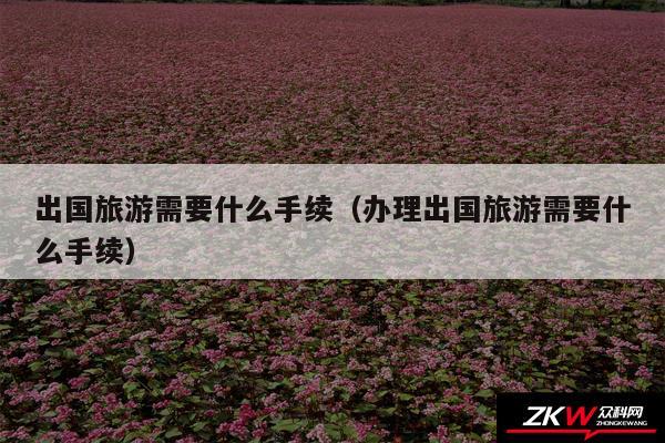 出国旅游需要什么手续以及办理出国旅游需要什么手续