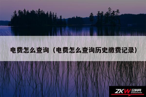 电费怎么查询以及电费怎么查询历史缴费记录