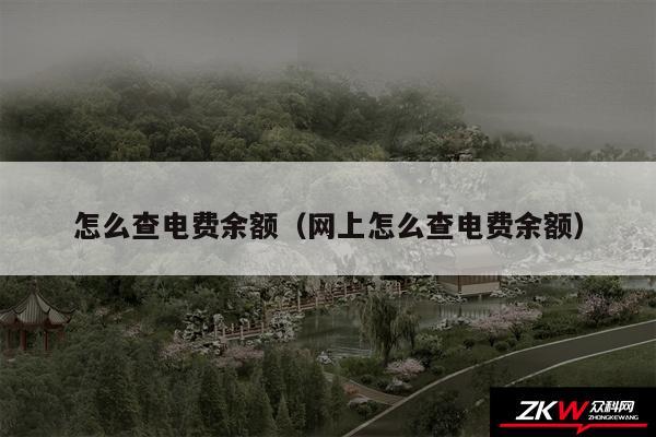 怎么查电费余额以及网上怎么查电费余额
