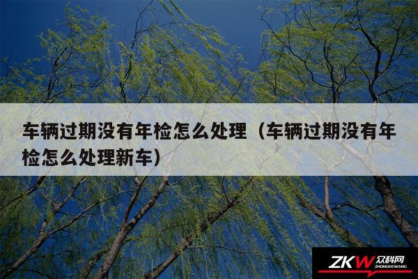 车辆过期没有年检怎么处理以及车辆过期没有年检怎么处理新车