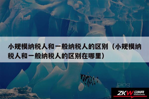 小规模纳税人和一般纳税人的区别以及小规模纳税人和一般纳税人的区别在哪里
