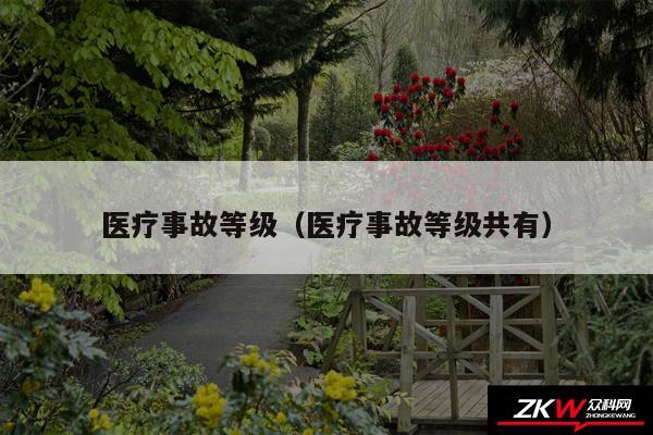 医疗事故等级以及医疗事故等级共有