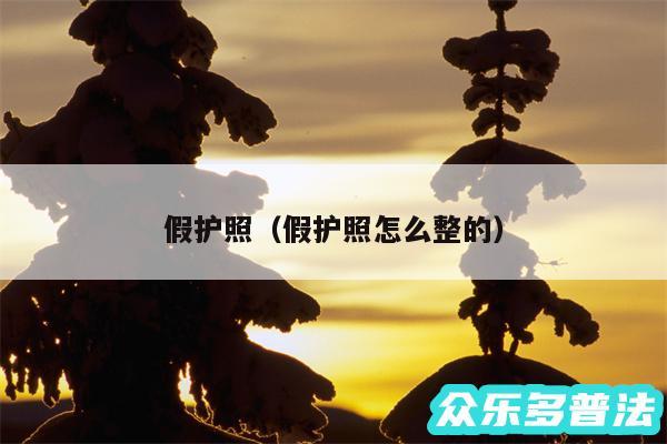 假护照以及假护照怎么整的