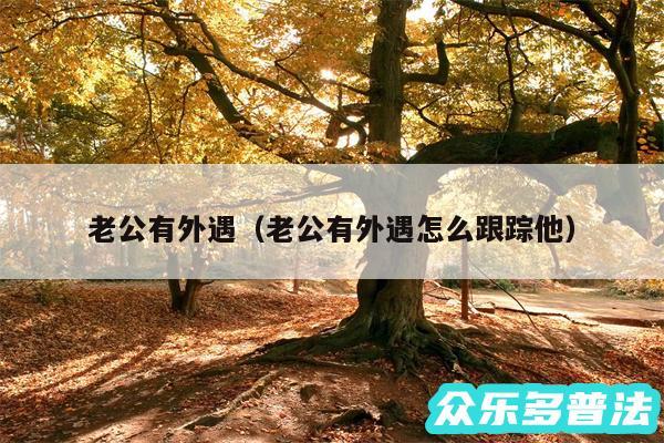 老公有外遇以及老公有外遇怎么跟踪他