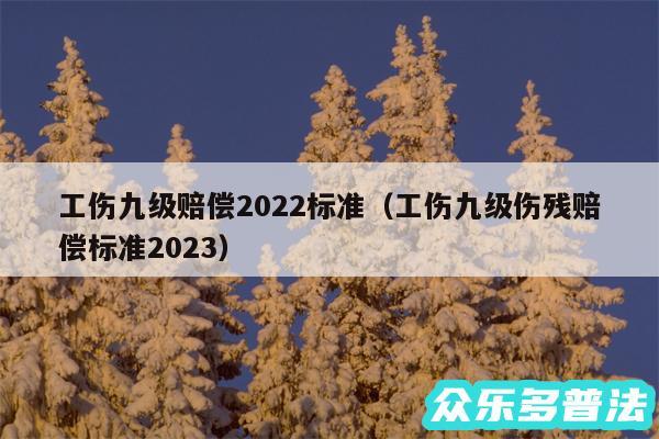 工伤九级赔偿2024标准以及工伤九级伤残赔偿标准2024