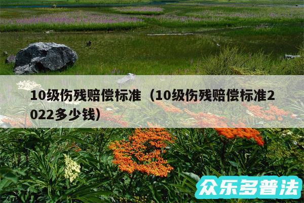 10级伤残赔偿标准以及10级伤残赔偿标准2024多少钱