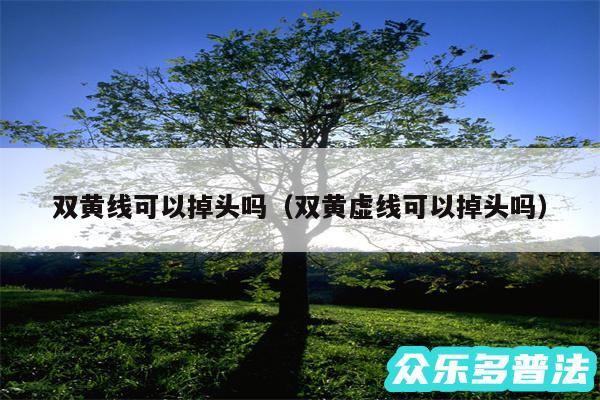 双黄线可以掉头吗以及双黄虚线可以掉头吗