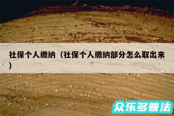社保个人缴纳以及社保个人缴纳部分怎么取出来