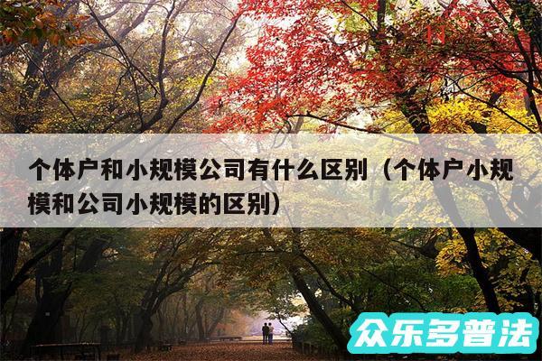 个体户和小规模公司有什么区别以及个体户小规模和公司小规模的区别