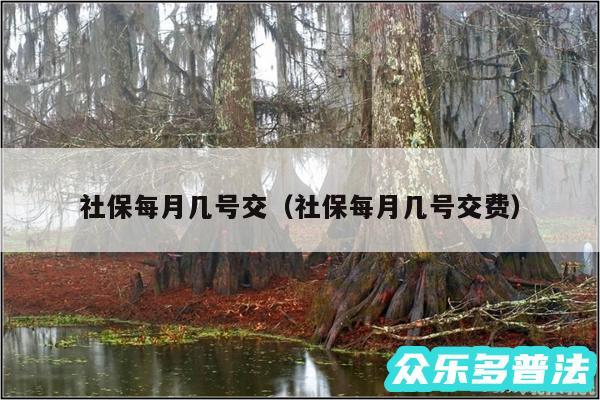 社保每月几号交以及社保每月几号交费