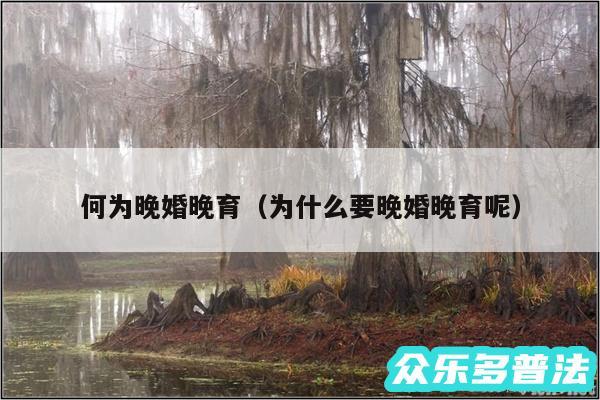何为晚婚晚育以及为什么要晚婚晚育呢