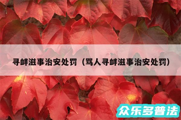 寻衅滋事治安处罚以及骂人寻衅滋事治安处罚
