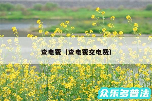 查电费以及查电费交电费