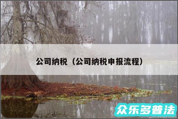 公司纳税以及公司纳税申报流程