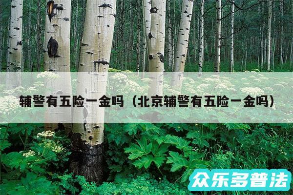辅警有五险一金吗以及北京辅警有五险一金吗