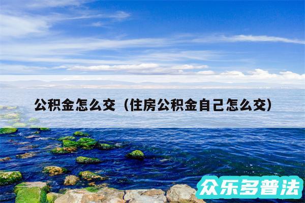 公积金怎么交以及住房公积金自己怎么交