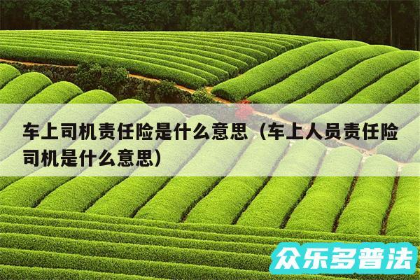 车上司机责任险是什么意思以及车上人员责任险司机是什么意思