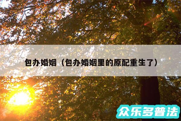 包办婚姻以及包办婚姻里的原配重生了