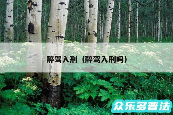 醉驾入刑以及醉驾入刑吗