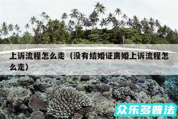 上诉流程怎么走以及没有结婚证离婚上诉流程怎么走
