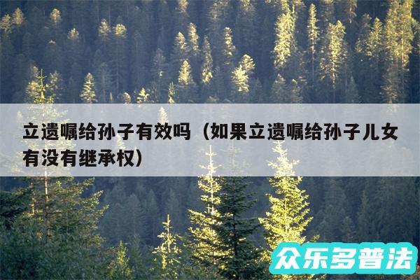 立遗嘱给孙子有效吗以及如果立遗嘱给孙子儿女有没有继承权