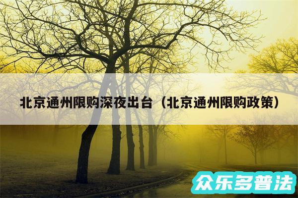 北京通州限购深夜出台以及北京通州限购政策