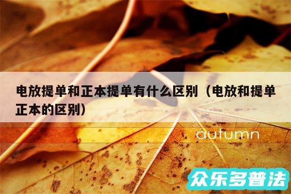 电放提单和正本提单有什么区别以及电放和提单正本的区别
