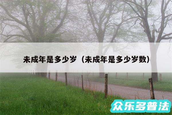 未成年是多少岁以及未成年是多少岁数