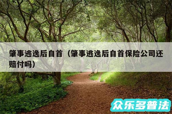 肇事逃逸后自首以及肇事逃逸后自首保险公司还赔付吗