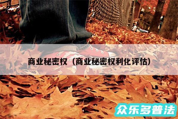 商业秘密权以及商业秘密权利化评估