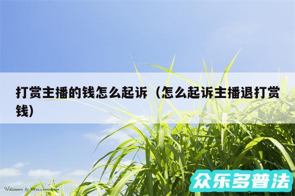 打赏主播的钱怎么起诉以及怎么起诉主播退打赏钱