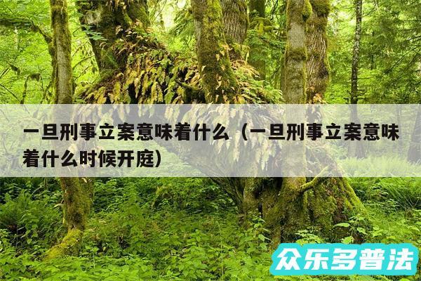 一旦刑事立案意味着什么以及一旦刑事立案意味着什么时候开庭