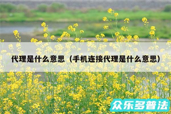 代理是什么意思以及手机连接代理是什么意思