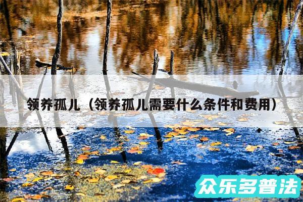 领养孤儿以及领养孤儿需要什么条件和费用