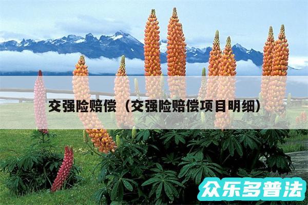 交强险赔偿以及交强险赔偿项目明细