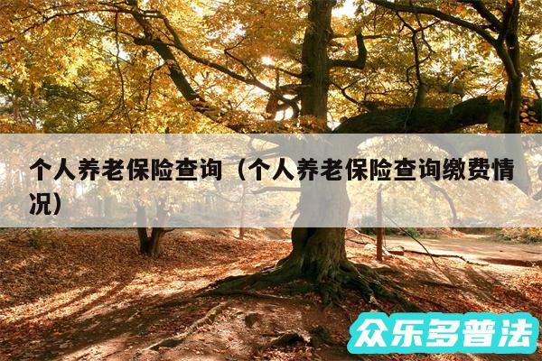 个人养老保险查询以及个人养老保险查询缴费情况