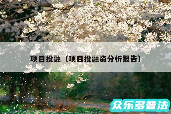 项目投融以及项目投融资分析报告